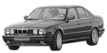 BMW E34 P0DA8 Fault Code